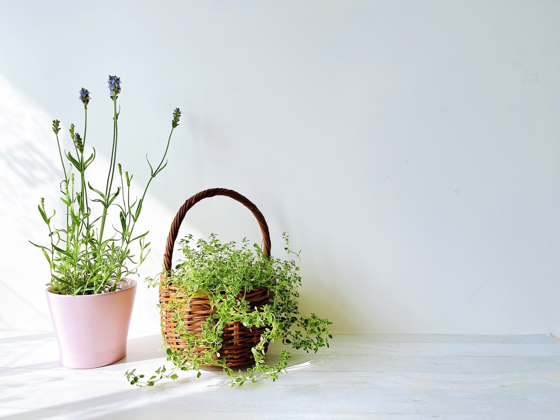 住宅補修・原状回復で費用削減｜郡山リペアナビ　きれいな壁紙イメージ画像