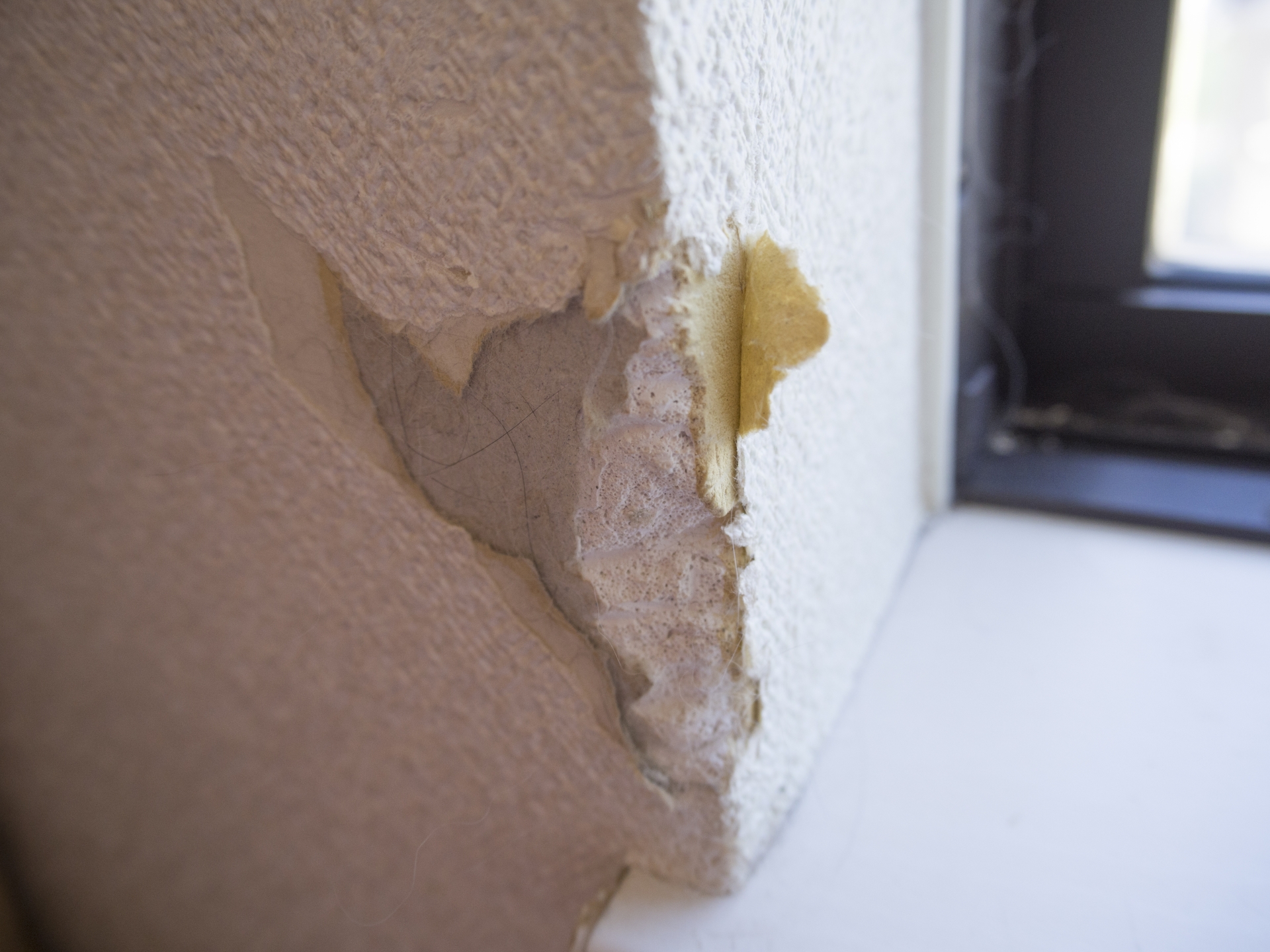 住宅補修・原状回復で費用削減｜郡山リペアナビ　クロスペットキズイメージ画像